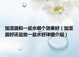 加湿器和一盆水哪个效果好（加湿器好还是放一盆水好详细介绍）