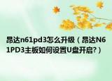 昂达n61pd3怎么升级（昂达N61PD3主板如何设置U盘开启?）