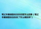 笔记本触摸鼠标没反应是怎么回事（笔记本触摸鼠标没反应了怎么调回来?）