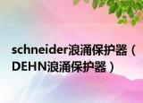 schneider浪涌保护器（DEHN浪涌保护器）
