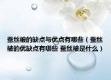 蚕丝被的缺点与优点有哪些（蚕丝被的优缺点有哪些 蚕丝被是什么）