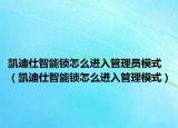 凯迪仕智能锁怎么进入管理员模式（凯迪仕智能锁怎么进入管理模式）