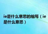 ie是什么意思的缩写（ie是什么意思）