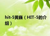 hit-5黄巍（HIT-5的介绍）