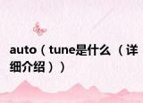 auto（tune是什么 （详细介绍））