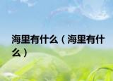 海里有什么（海里有什么）