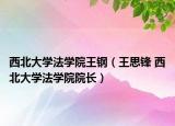 西北大学法学院王钢（王思锋 西北大学法学院院长）