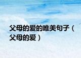 父母的爱的唯美句子（父母的爱）