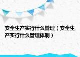 安全生产实行什么管理（安全生产实行什么管理体制）