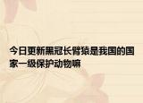 今日更新黑冠长臂猿是我国的国家一级保护动物嘛