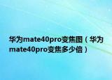 华为mate40pro变焦图（华为mate40pro变焦多少倍）
