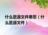 什么是源文件意思（什么是源文件）