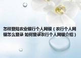 怎样登陆农业银行个人网银（农行个人网银怎么登录 如何登录农行个人网银介绍）