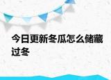 今日更新冬瓜怎么储藏过冬