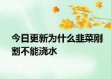 今日更新为什么韭菜刚割不能浇水