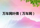 万车网叶倩（万车网）