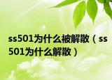 ss501为什么被解散（ss501为什么解散）
