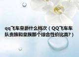 qq飞车皇爵什么档次（QQ飞车车队贵族和皇族那个综合性价比高?）