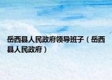 岳西县人民政府领导班子（岳西县人民政府）