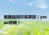 雅骚结局烂尾原因（yasao音响）