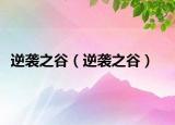 逆袭之谷（逆袭之谷）
