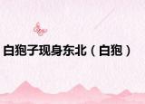 白狍子现身东北（白狍）