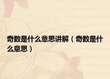 奇数是什么意思讲解（奇数是什么意思）