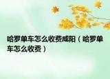 哈罗单车怎么收费咸阳（哈罗单车怎么收费）