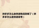 拼多多怎么查快递物流到哪了（拼多多怎么查快递单号）