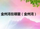 金州湾在哪里（金州湾）