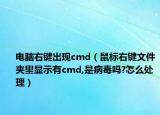 电脑右键出现cmd（鼠标右键文件夹里显示有cmd,是病毒吗?怎么处理）