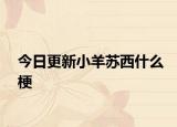 今日更新小羊苏西什么梗