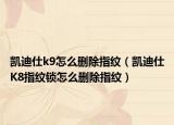 凯迪仕k9怎么删除指纹（凯迪仕K8指纹锁怎么删除指纹）