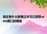 现在有什么新笔记本可以用带usata接口的硬盘