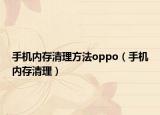手机内存清理方法oppo（手机内存清理）