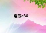 启辰e30
