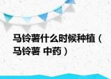 马铃薯什么时候种植（马铃薯 中药）