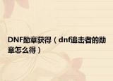 DNF勋章获得（dnf追击者的勋章怎么得）