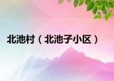 北池村（北池子小区）