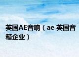 英国AE音响（ae 英国音箱企业）