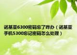 诺基亚6300密码忘了咋办（诺基亚手机5300忘记密码怎么处理）
