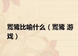 鸑鷟比喻什么（鸑鷟 游戏）