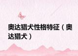 奥达猎犬性格特征（奥达猎犬）