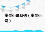 拳皇小说系列（拳皇小说）