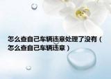 怎么查自己车辆违章处理了没有（怎么查自己车辆违章）