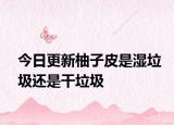 今日更新柚子皮是湿垃圾还是干垃圾