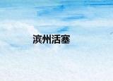 滨州活塞