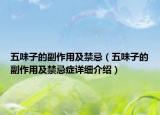 五味子的副作用及禁忌（五味子的副作用及禁忌症详细介绍）