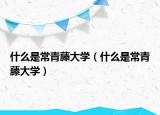 什么是常青藤大学（什么是常青藤大学）