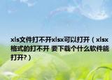 xls文件打不开xlsx可以打开（xlsx格式的打不开 要下载个什么软件能打开?）
